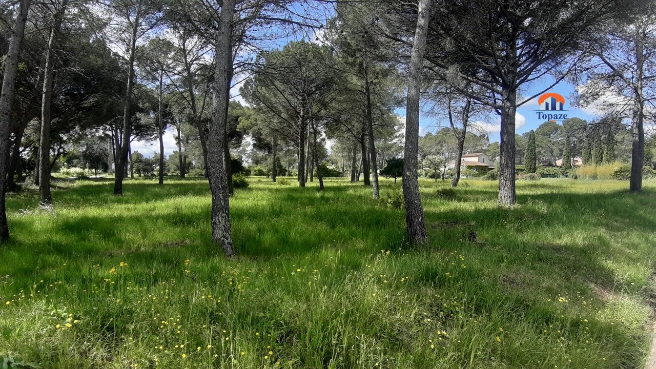 Agence immobilière de TOPAZE IMMOBILIER