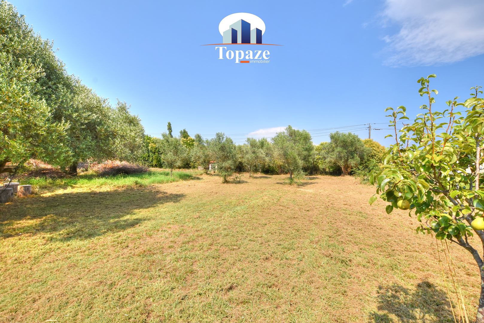 Agence immobilière de TOPAZE IMMOBILIER