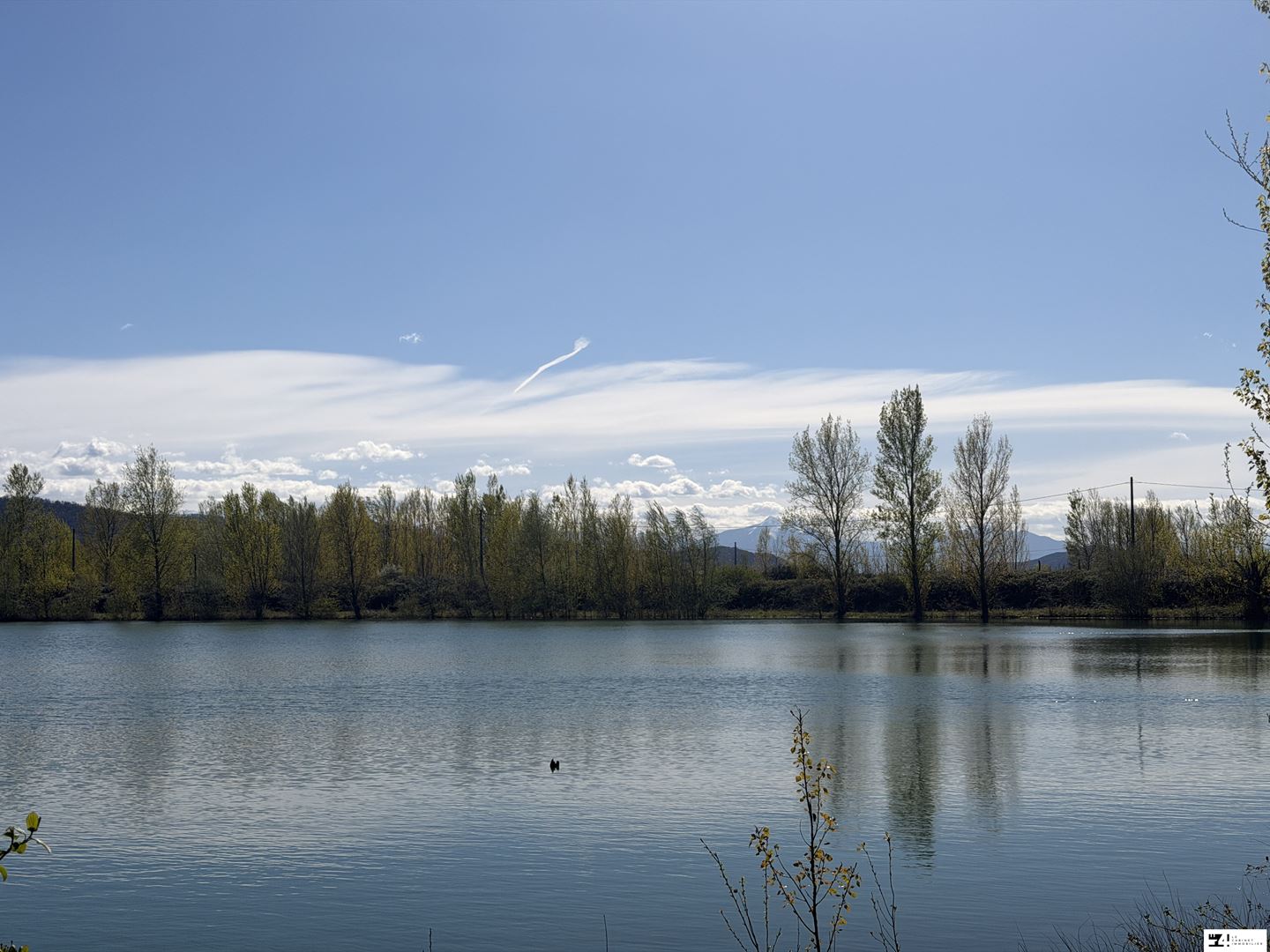 Agence immobilière de LE 4 LE CABINET IMMOBILIER