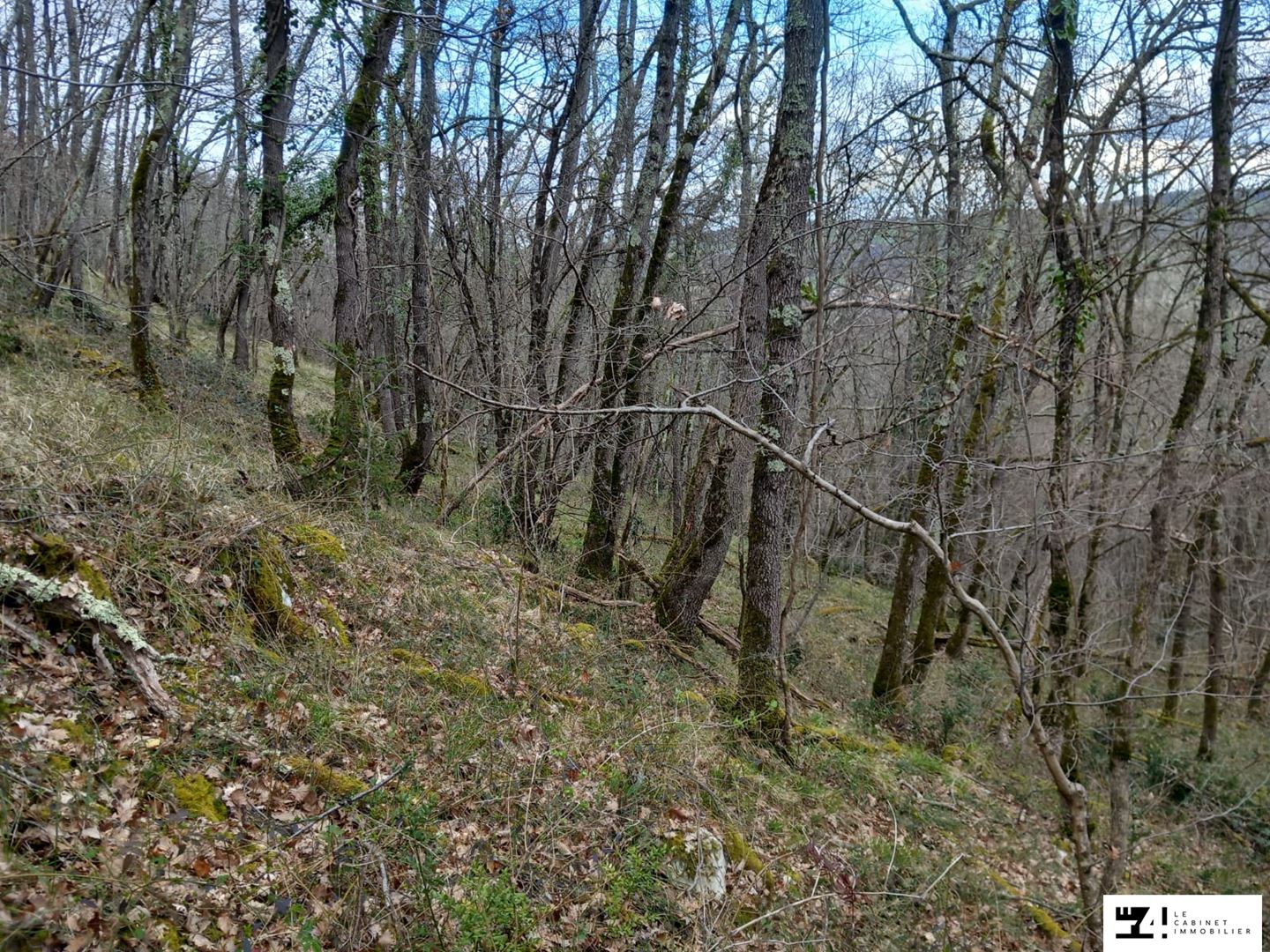 Agence immobilière de LE 4 LE CABINET IMMOBILIER