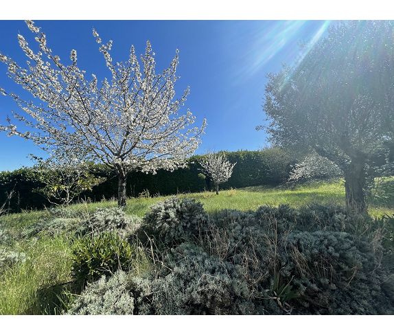 Agence immobilière de IMMODISPO