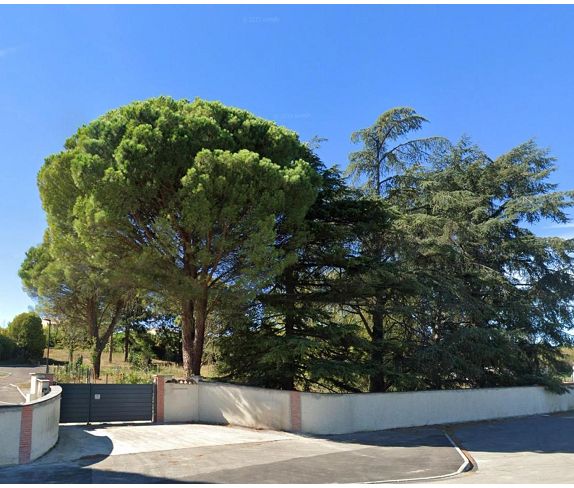 Agence immobilière de IMMODISPO