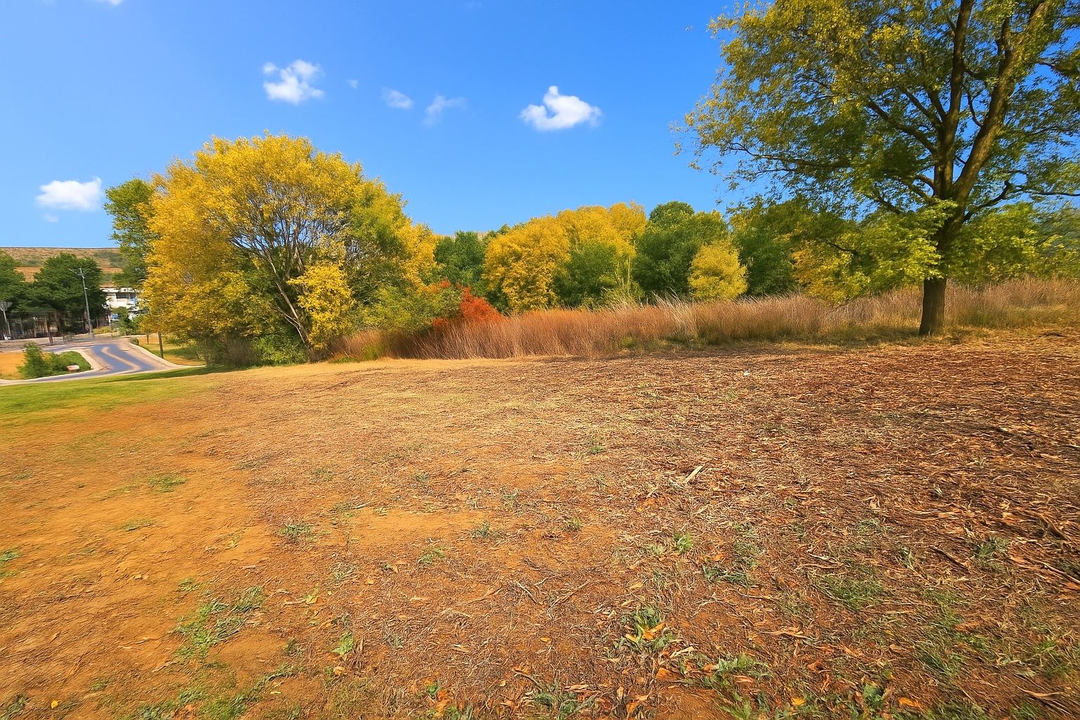 Agence immobilière de IMMODISPO