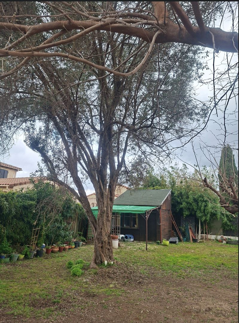 Agence immobilière de LEFEVRE FREDERIC