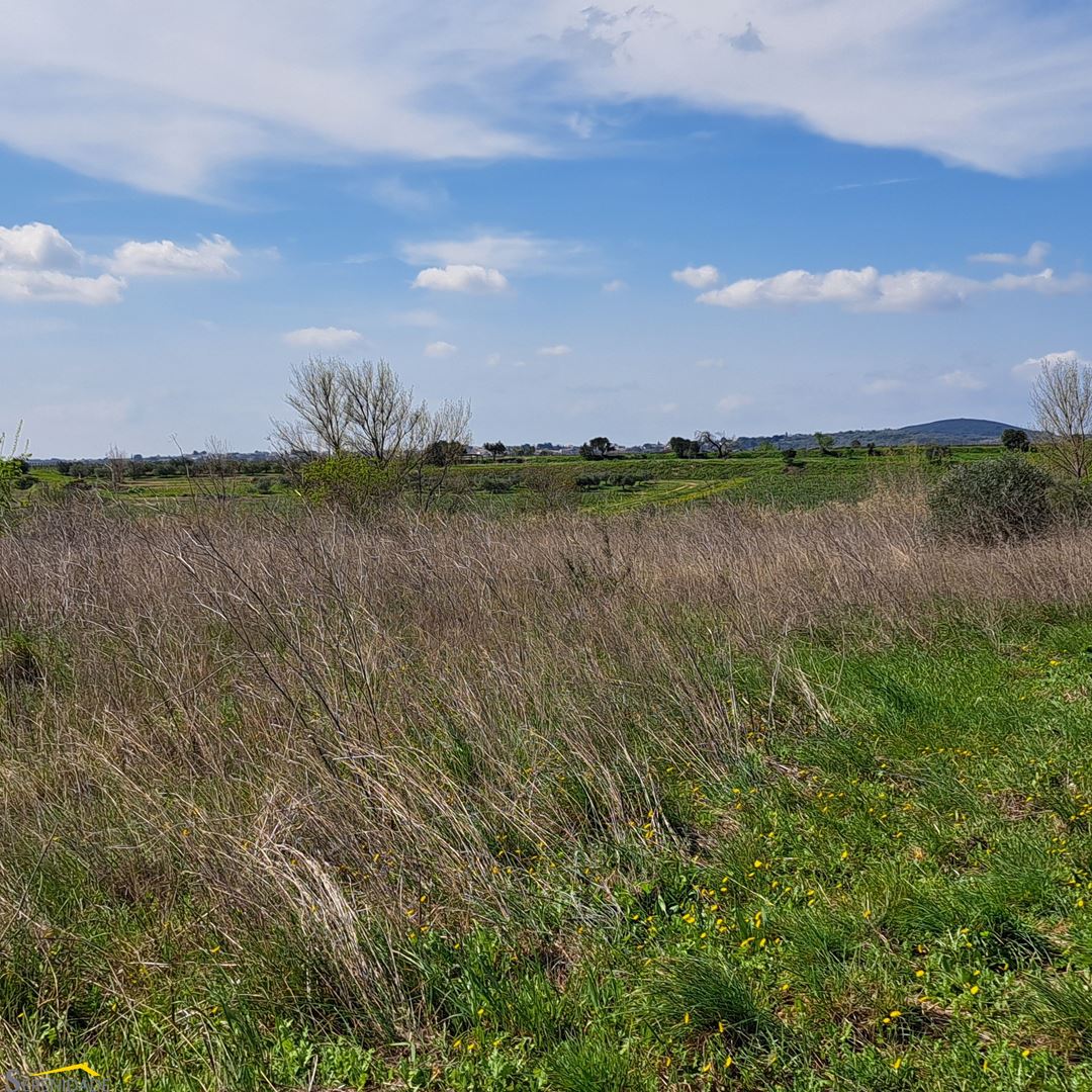Agence immobilière de Serenidade