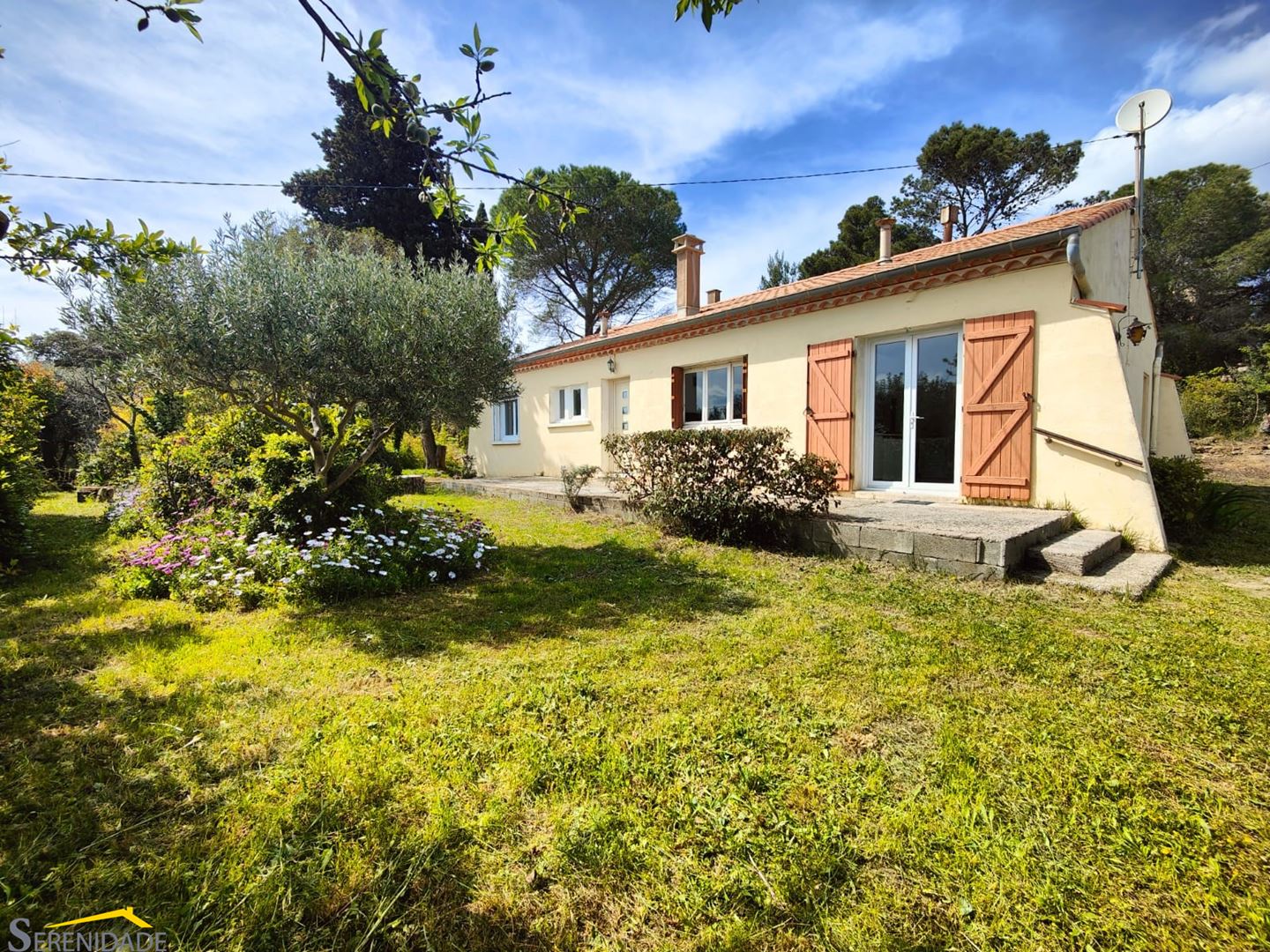 Agence immobilière de Serenidade