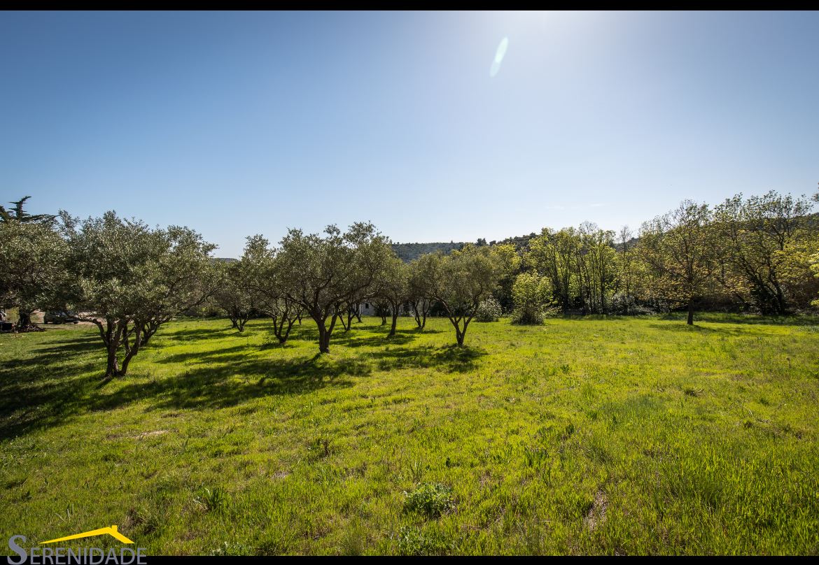 Agence immobilière de Serenidade