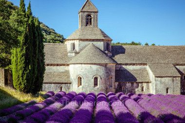 Agence immobilière de EURO PATRIMOINE IMMOBILIER