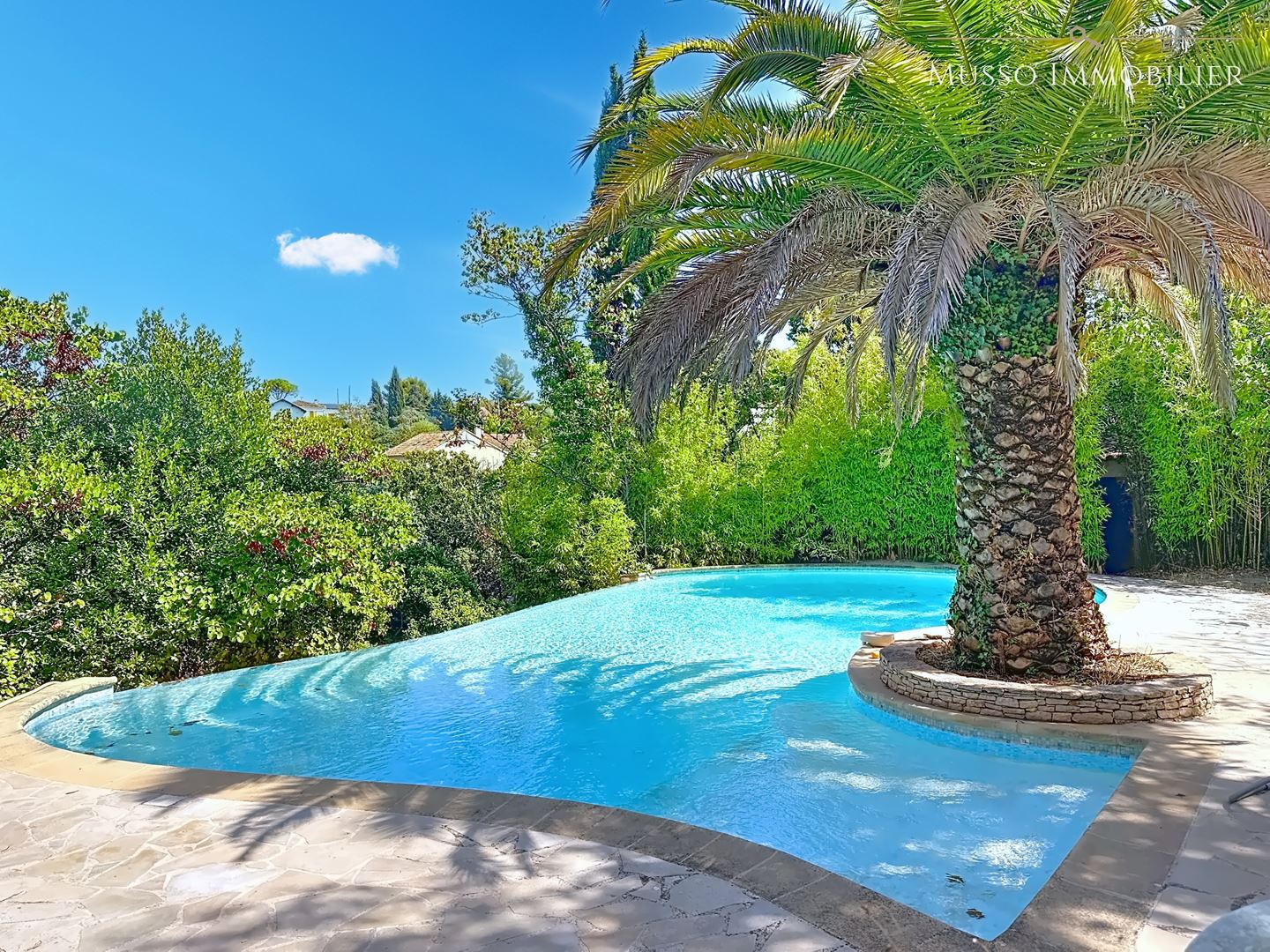 Agence immobilière de MUSSO IMMOBILIER