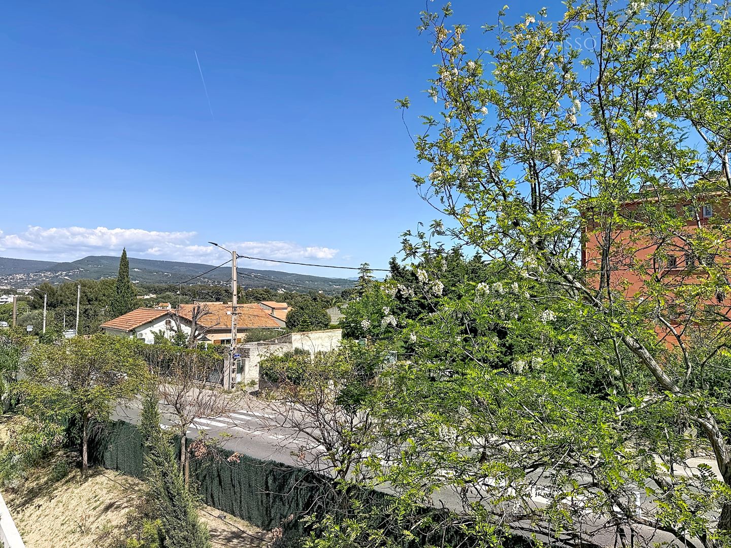 Agence immobilière de MUSSO IMMOBILIER