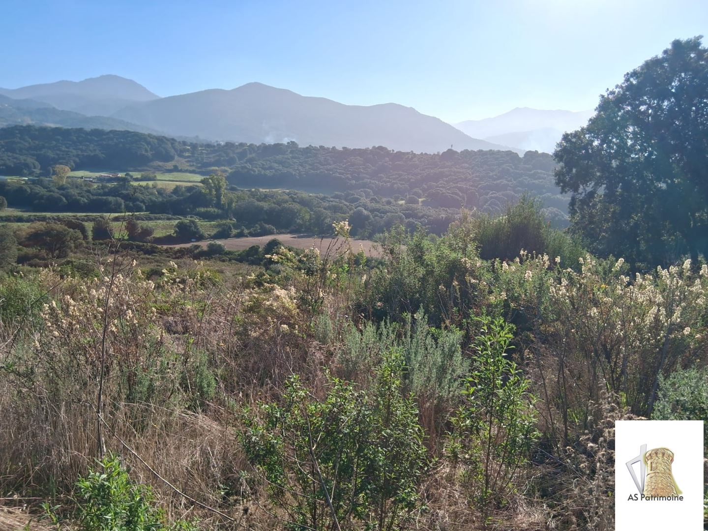 Agence immobilière de AS PATRIMOINE