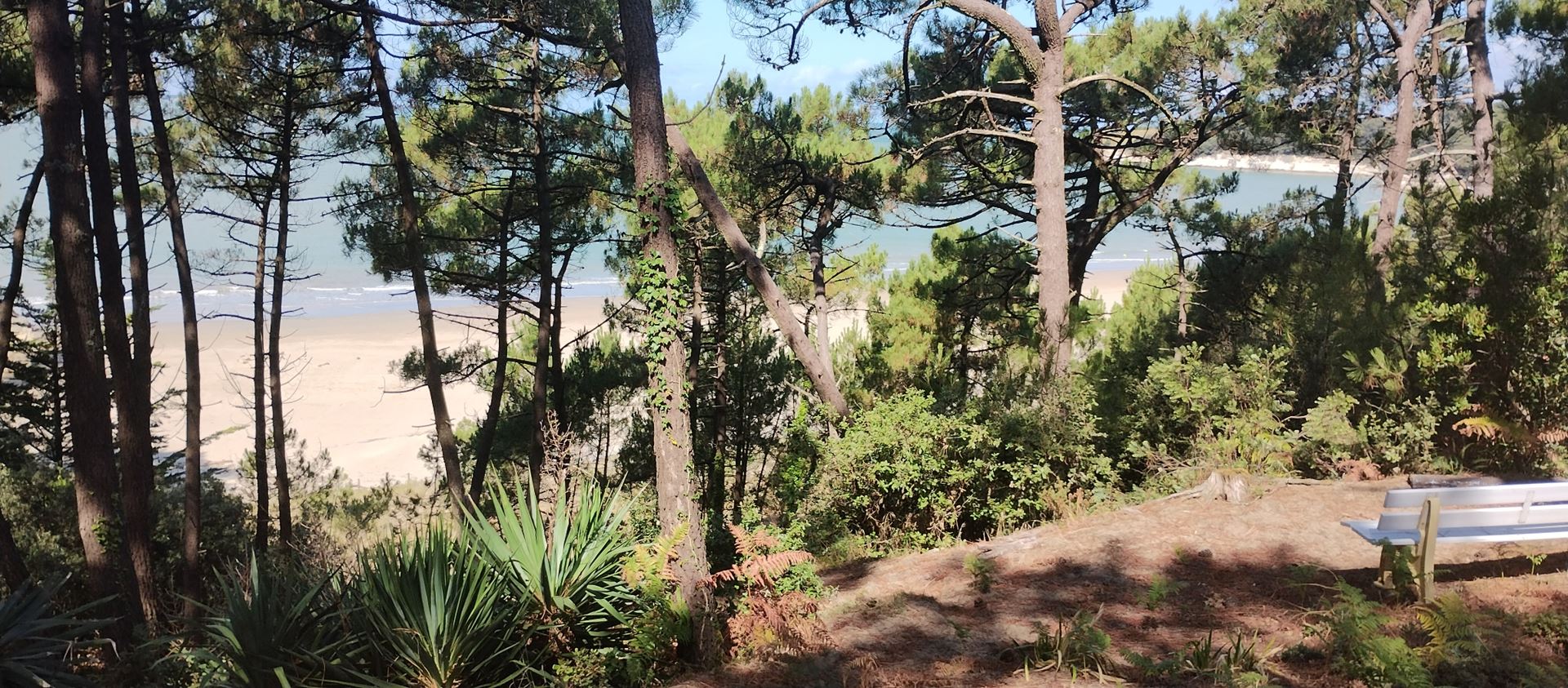 Agence immobilière de Agence de L'Estuaire