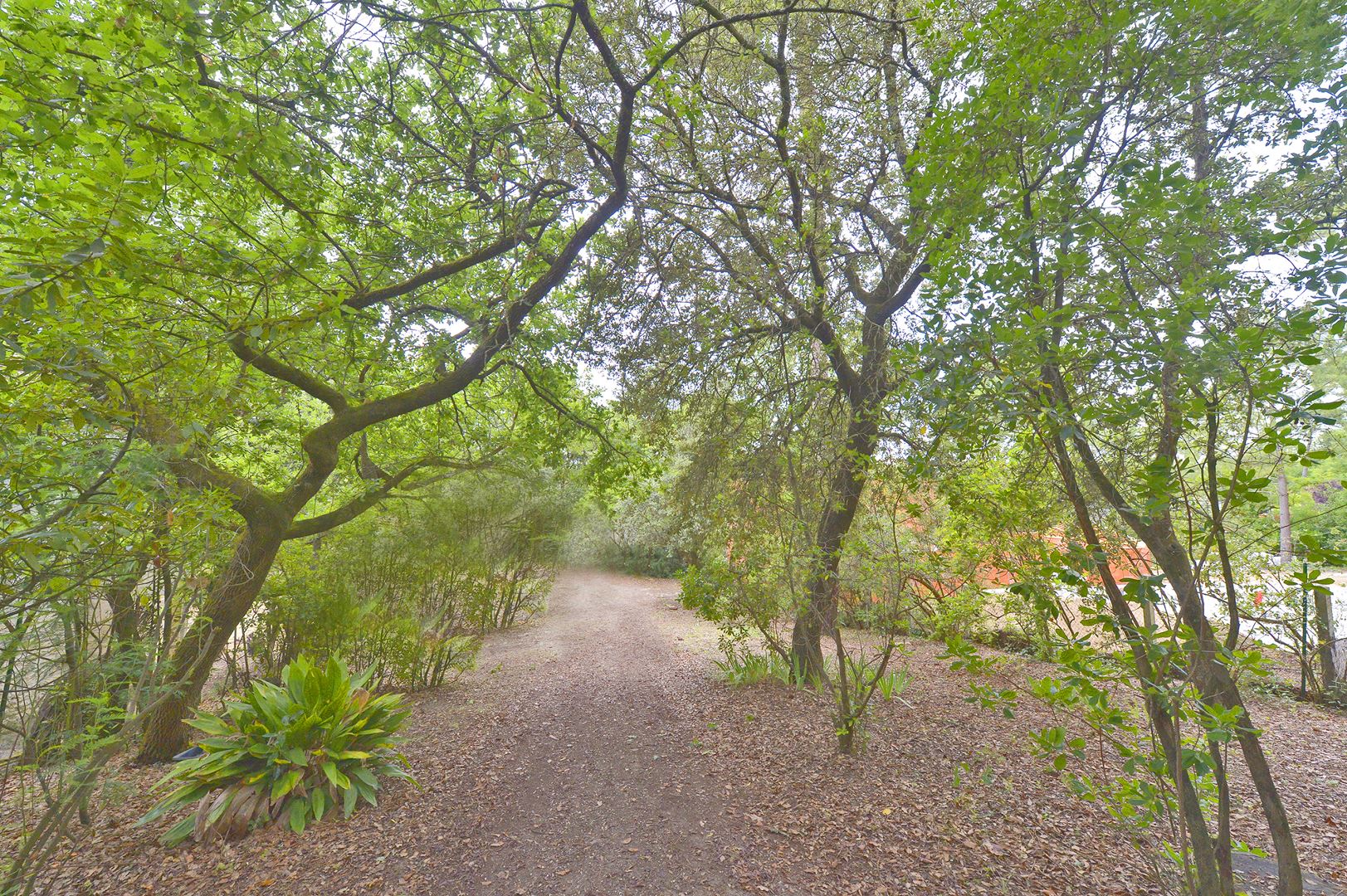 Agence immobilière de Agence de L'Estuaire