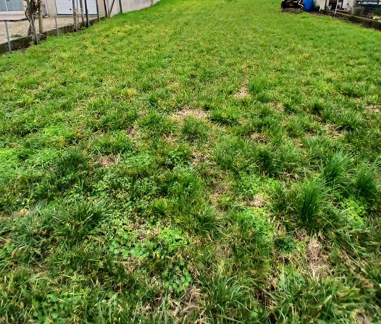 Agence immobilière de Agence de L'Estuaire