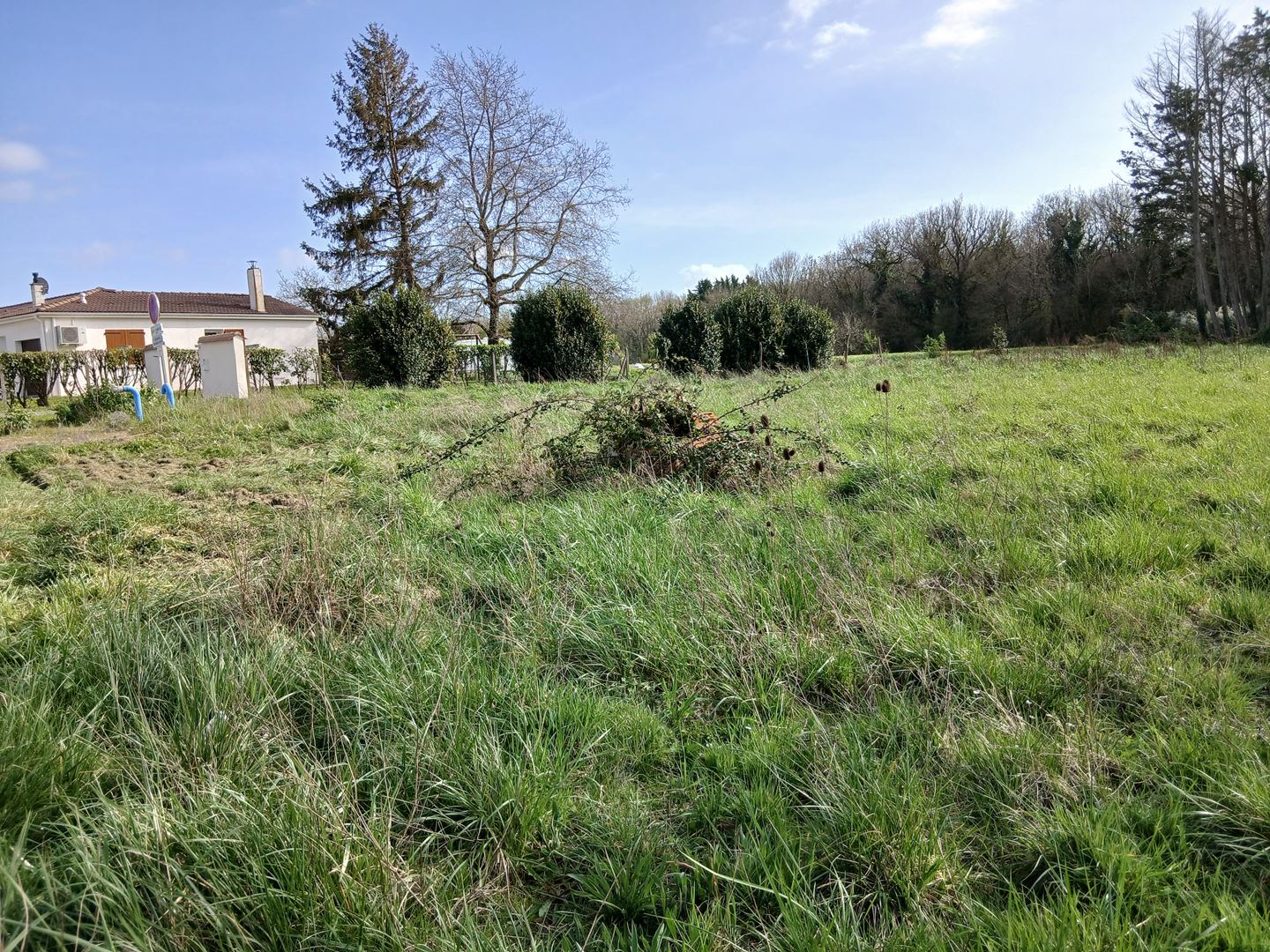 Agence immobilière de Agence de L'Estuaire