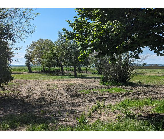 Agence immobilière de AIGUEPERSE TRANSACTIONS