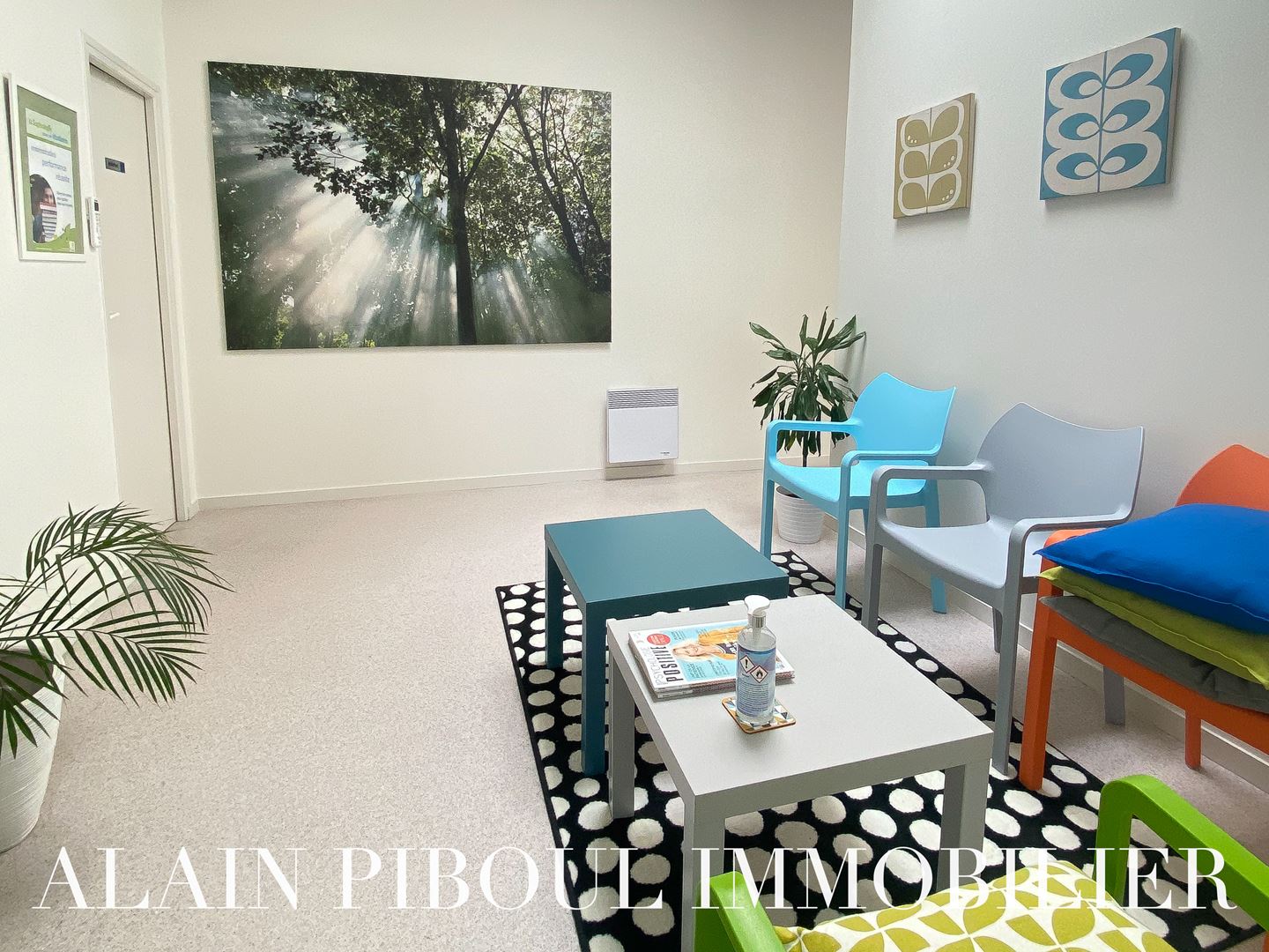 Agence immobilière de PIBOUL Alain