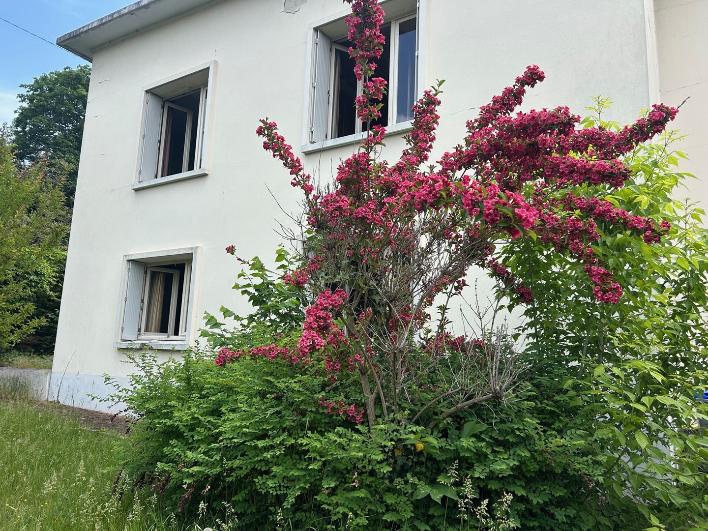 Agence immobilière de IMMOBILIERE DU SUD-EST