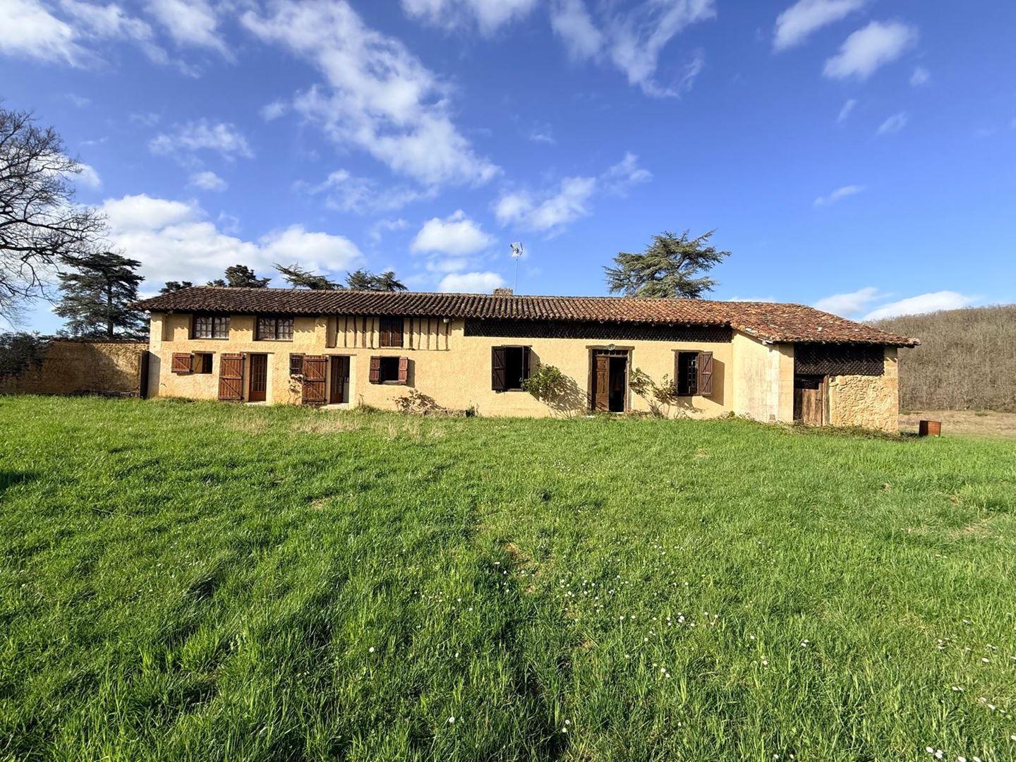 Agence immobilière de D'ARTAGNAN IMMOBILIER