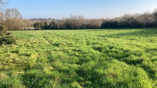 Agence immobilière de L'immobilière du Faou